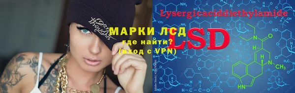 гашик Алексеевка