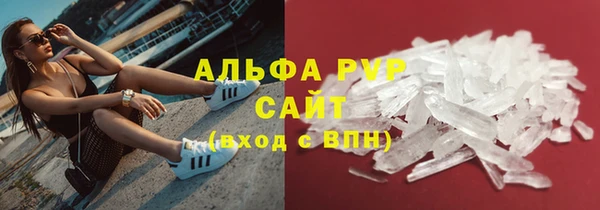 крисы Алзамай