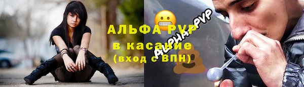 гашик Алексеевка