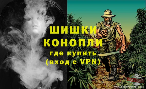 гашик Алексеевка