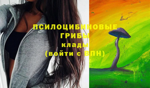 эйфоретик Алексин