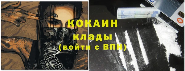 крисы Алзамай