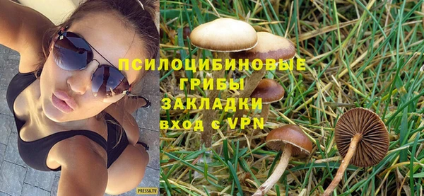 крисы Алзамай