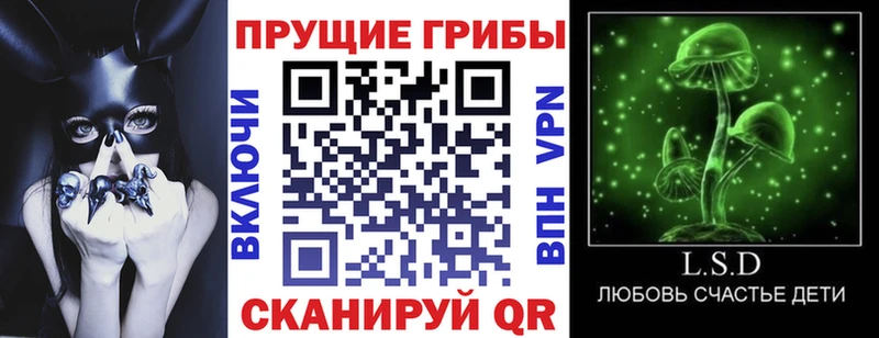 Псилоцибиновые грибы GOLDEN TEACHER  наркота  Медынь 